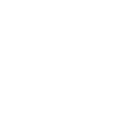 Mastery
